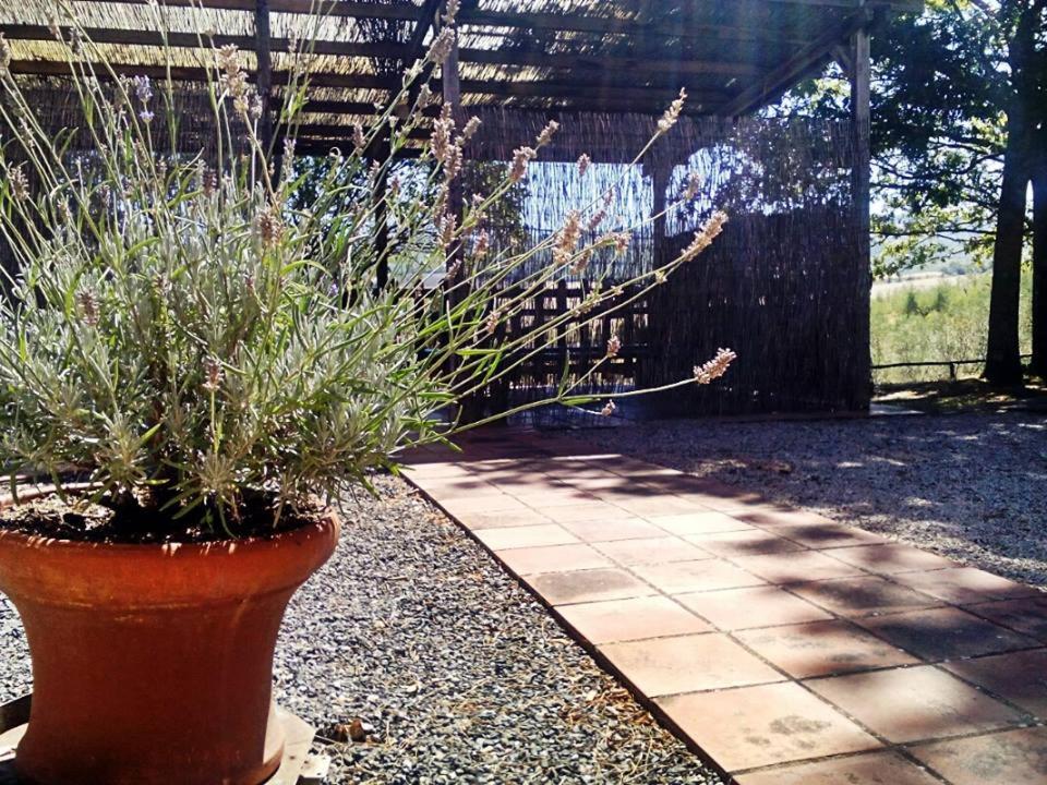 Agriturismo Podere Cherzo Cinigiano Eksteriør billede