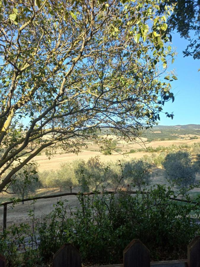 Agriturismo Podere Cherzo Cinigiano Eksteriør billede