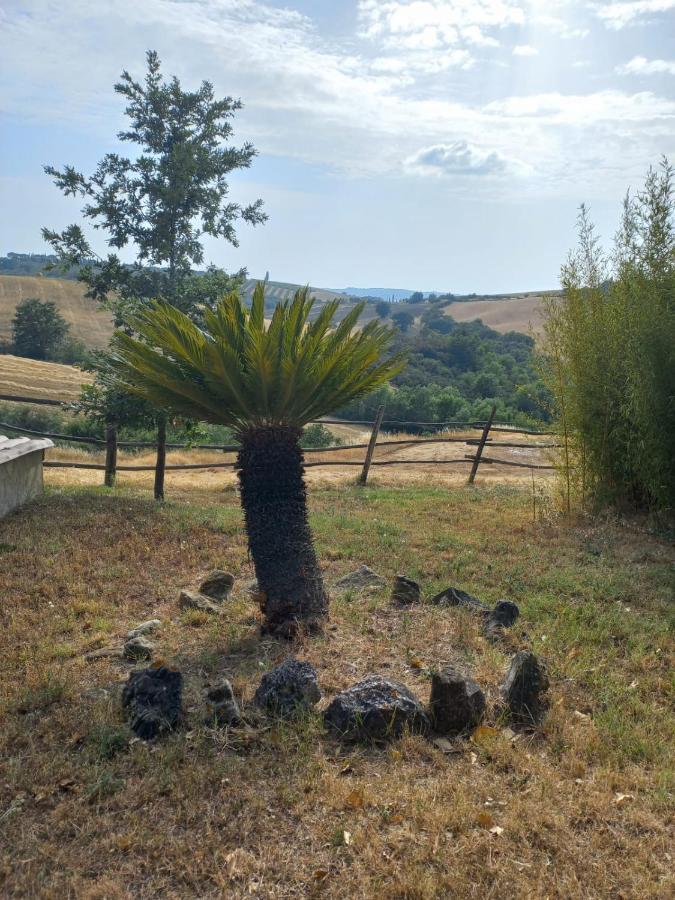 Agriturismo Podere Cherzo Cinigiano Eksteriør billede