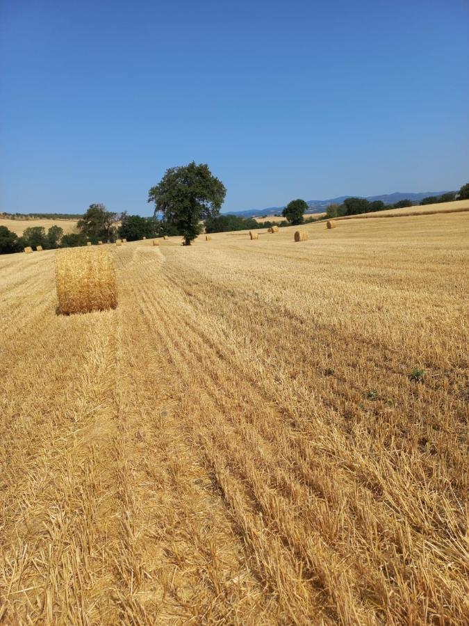 Agriturismo Podere Cherzo Cinigiano Eksteriør billede