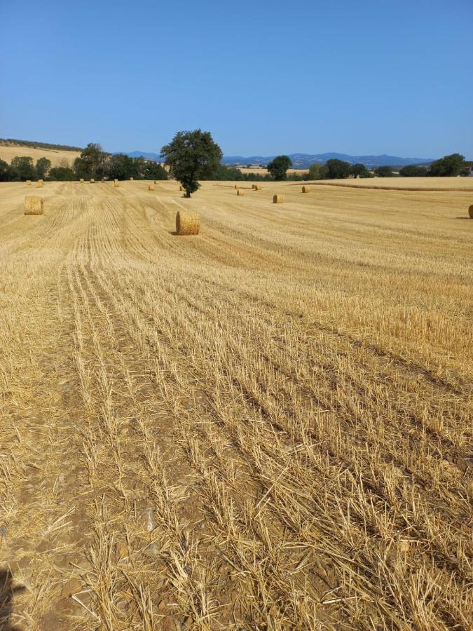 Agriturismo Podere Cherzo Cinigiano Eksteriør billede