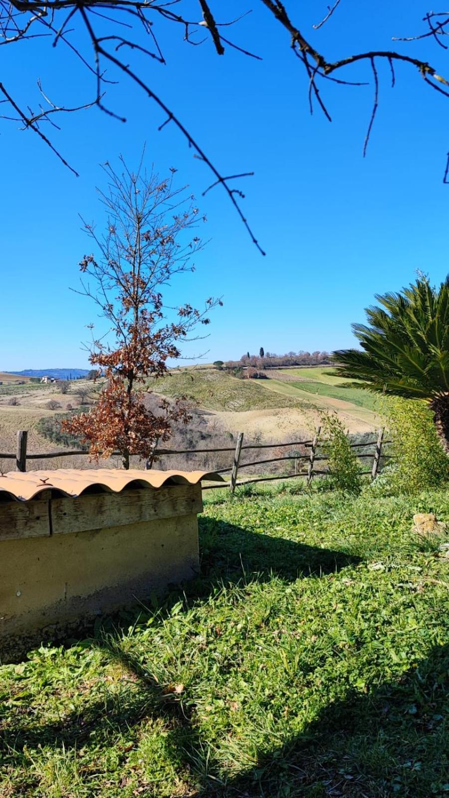 Agriturismo Podere Cherzo Cinigiano Eksteriør billede