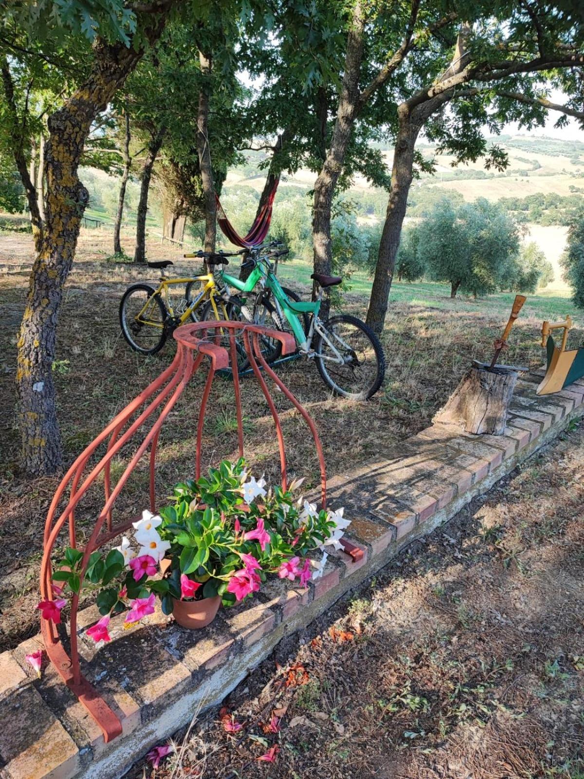 Agriturismo Podere Cherzo Cinigiano Eksteriør billede